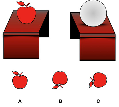 Mechanical Reasoning Aptitude Test Question 4